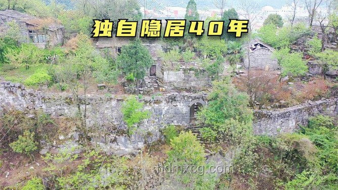 十萬大山脫困指南：重溫春日夢境的實用生存技巧