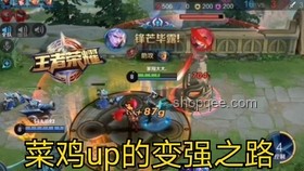 “雞”王爭霸賽實戰指南：打造養雞冠軍之路