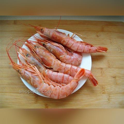 龍蝦咬扇子：奇趣現象背后的生態與行為學探索