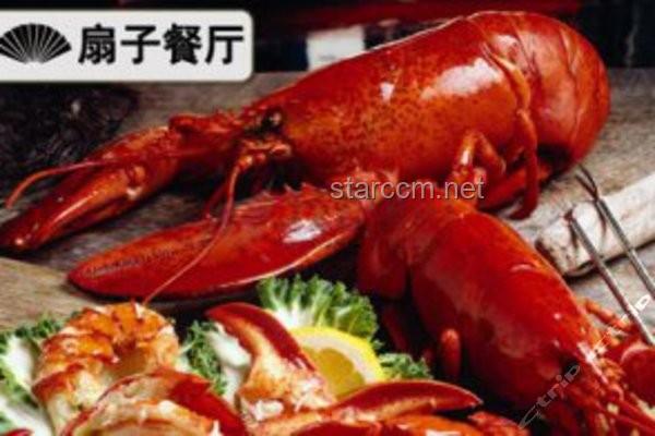 龍蝦咬扇子應對指南：安全觀賞與急救措施