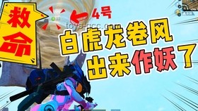 【高燃洞察】復刻麥朵六合大槍：武術文化與現代傳播的交融