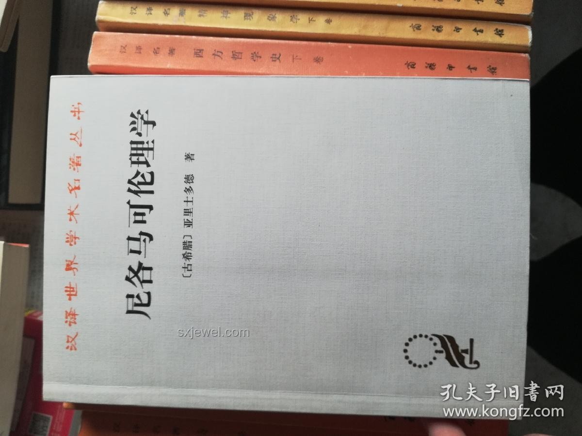 蠢人的底層邏輯：純粹哲學視角的案例研究