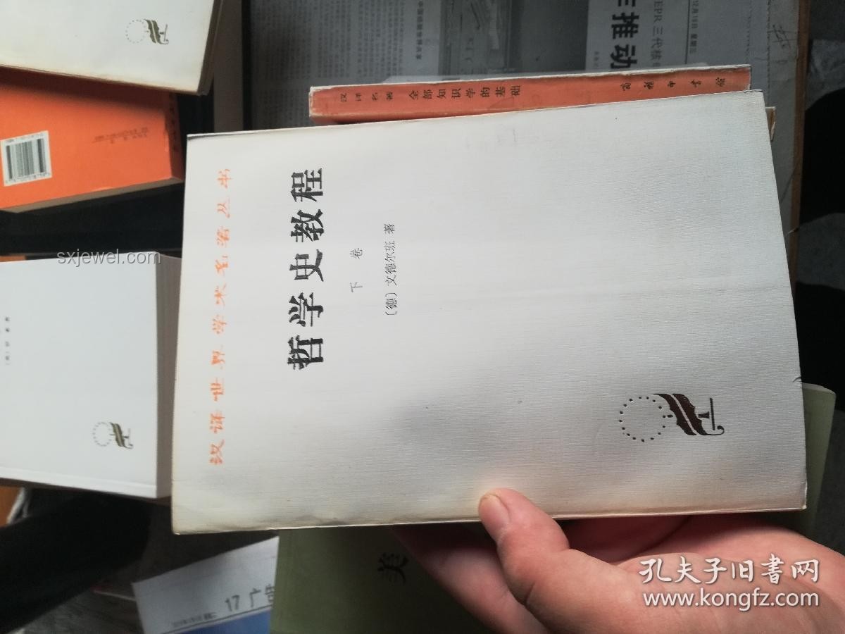 蠢人的底層邏輯：純粹哲學視角的案例研究