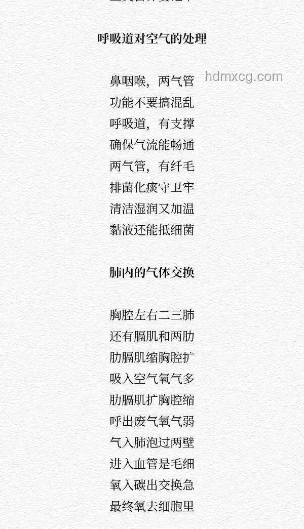 循環歌單打造法：【句句屬實】的“想成為將軍必備語錄”指南