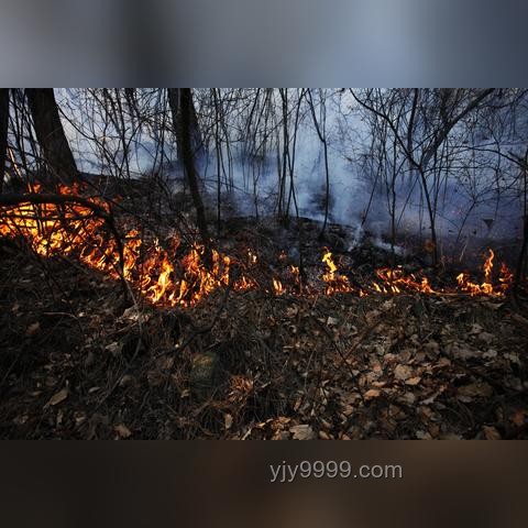 山西自建房火災慘痛教訓：守護家的安全防線??, 生命無價