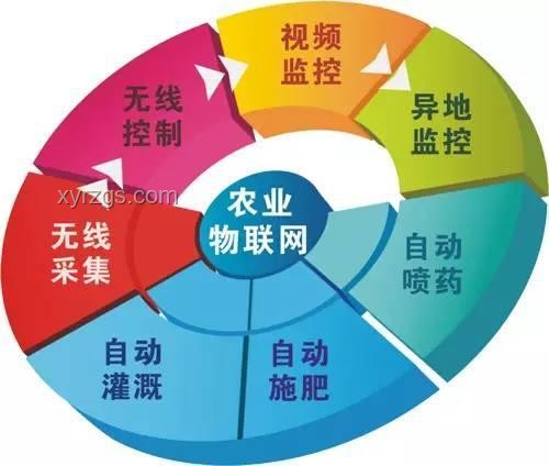 蟑螂問題與社交趨勢：預測“粥批”群體未來變化