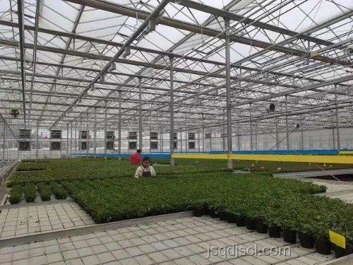 【原神角色教學對比】絲柯克教學特色分析