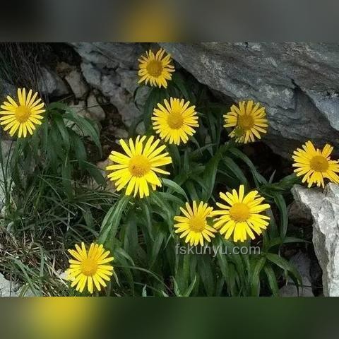 如何應對《曼德拉效應》帶來的認知困惑，提升信息辨識力