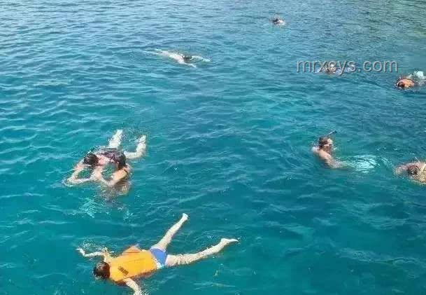 大海上撿房防潮指南，解決被子出水難題