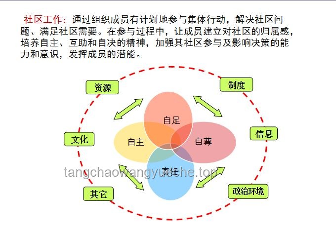 蛋撻皮的華麗變身：創(chuàng)新應(yīng)用與市場(chǎng)趨勢(shì)深度剖析