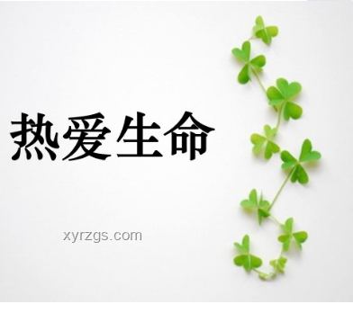 因愛共苦，未來共富：愛情與共同奮斗的新趨勢(shì)