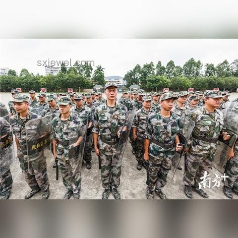 軍事與游戲領域扳機對比分析