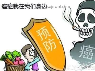 抗癌網紅臨終趨勢：冰棍告別映射健康警醒與未來預防新方向