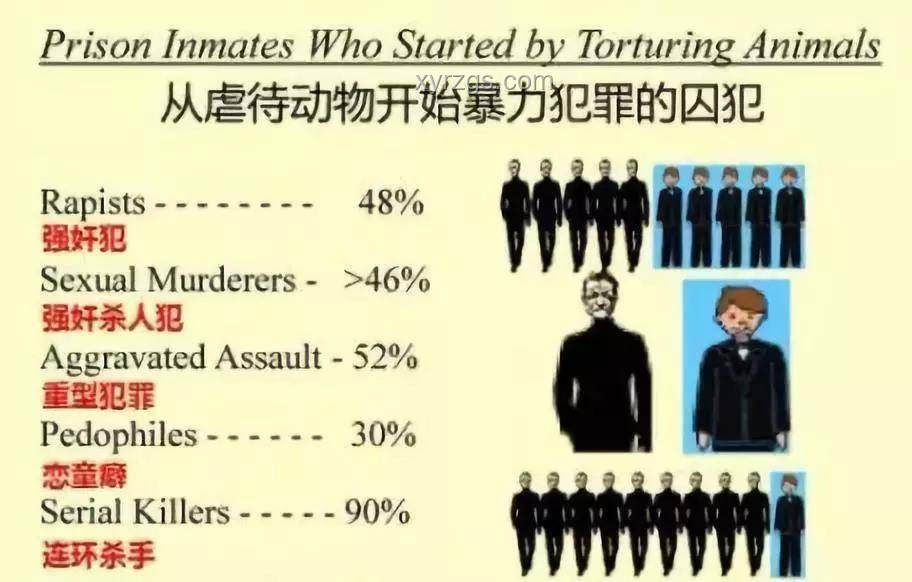 大學(xué)生虐貓事件：以共情教育+科技賦能的創(chuàng)新解決路徑