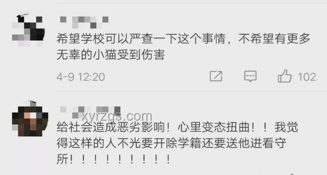 大學(xué)生虐貓事件：以共情教育+科技賦能的創(chuàng)新解決路徑