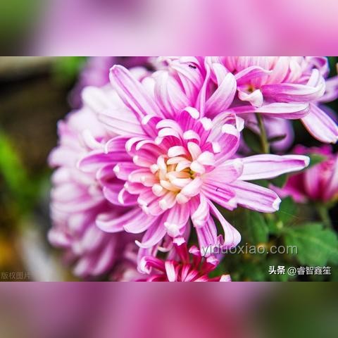 ??從迷茫到精通：我的編程學習之旅