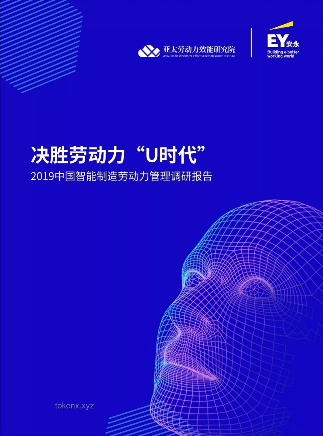 清遠(yuǎn)4.3級(jí)地震影響與行業(yè)應(yīng)對(duì)洞察