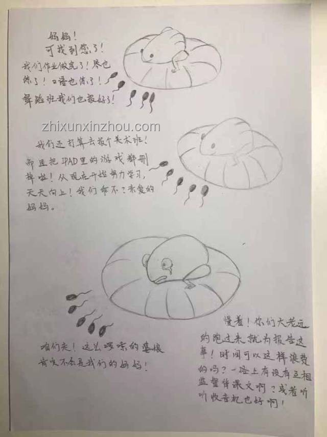 現實版“小蝌蚪找媽媽”：一場關于成長的尋根之旅??,親情,成長,自我發現,堅持