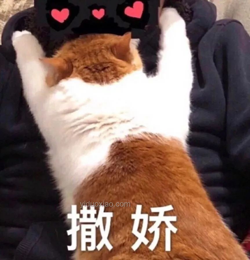 沒人能面無表情看完五哈撒嬌：萌力全開的心動瞬間