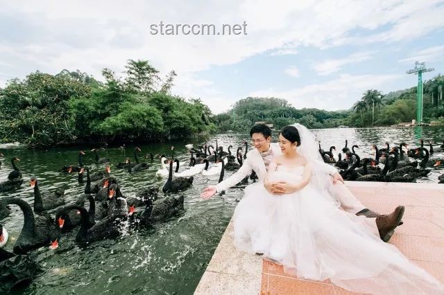 旅途中最美結局：提瓦特最強情侶步入婚姻殿堂解析