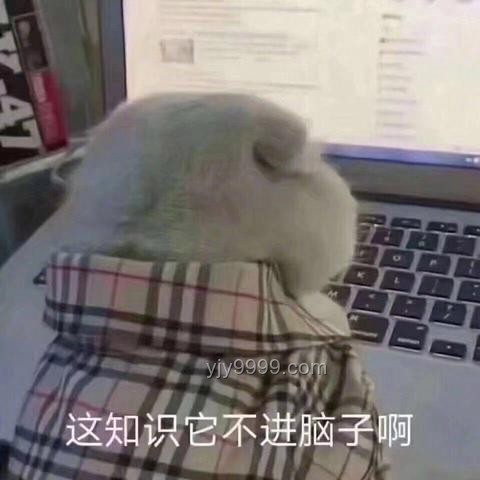 你的期末考復習策略與效果深度分析