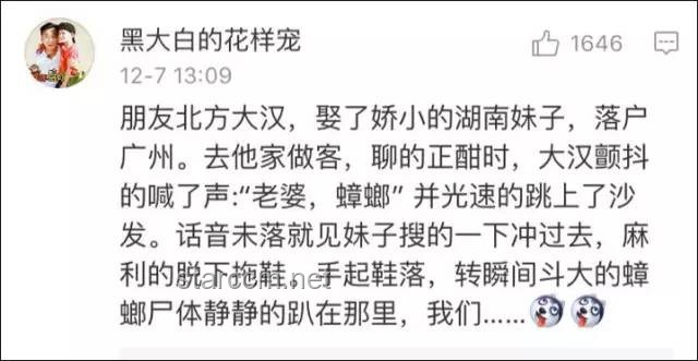 《蟑螂滿屋，粥批難尋》原創曲與現實問題的對比分析——生活體驗與音樂創作的碰撞