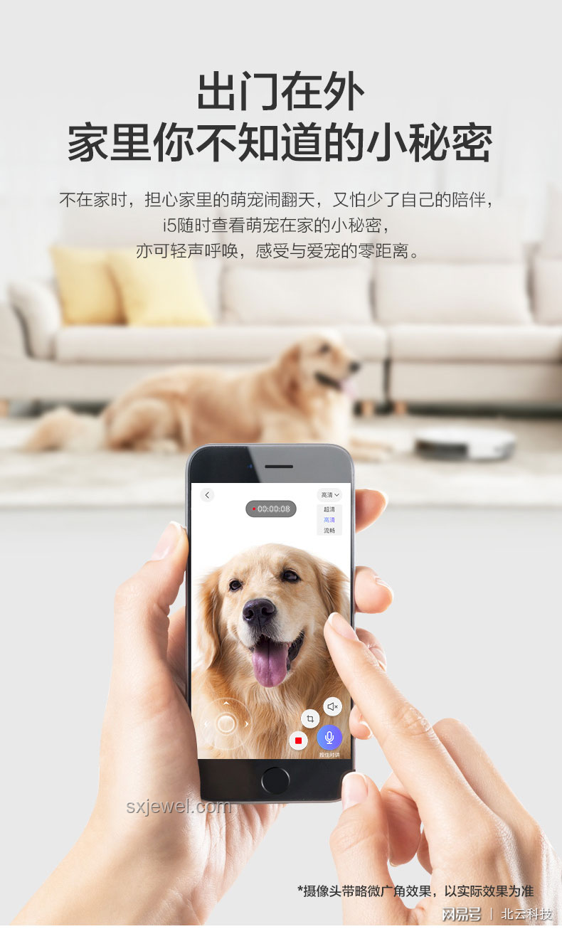 遛狗輕松點的意外之旅：智能寵物設備的興起