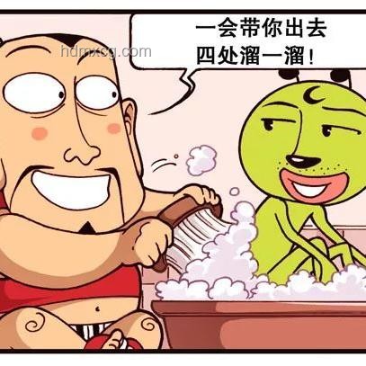 起初我只是想遛狗輕松一點，卻解鎖了高效遛狗秘籍