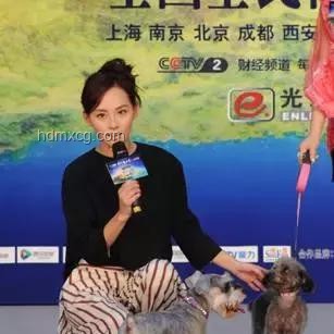 起初我只是想遛狗輕松一點，卻解鎖了高效遛狗秘籍