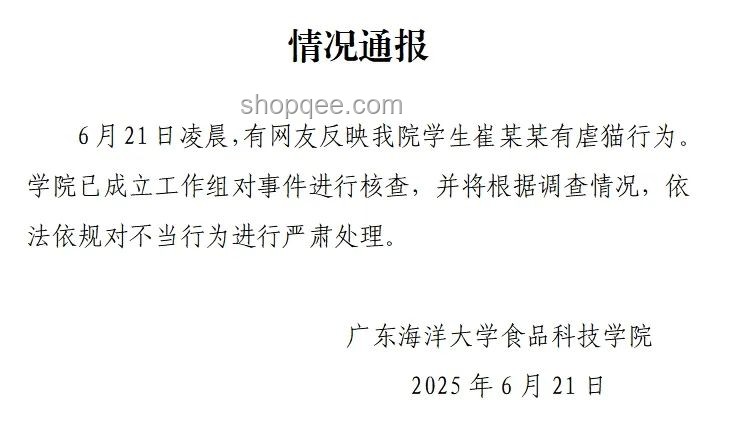 大學生虐貓事件處理指南：構建和諧校園