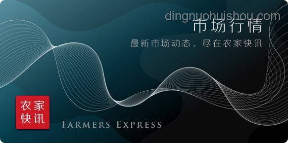 WOL憾負后的競技趨勢：深度剖析與未來展望