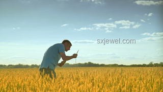 麥穗之帽：農業智能化與親子文化融合新趨勢