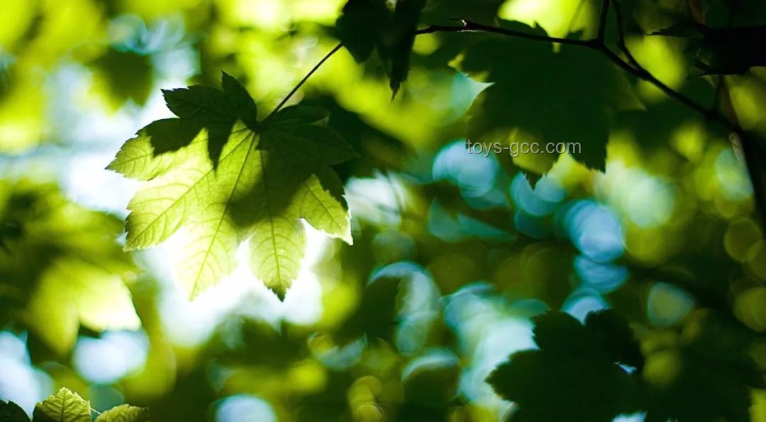 給夏天一點(diǎn)黑白風(fēng)的創(chuàng)新震撼，跨界融合設(shè)計(jì)新風(fēng)尚