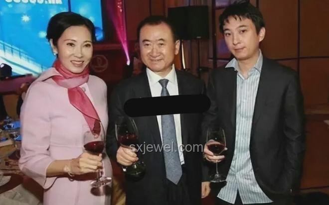 王思聰創(chuàng)業(yè)公司被何猷君收購案例研究