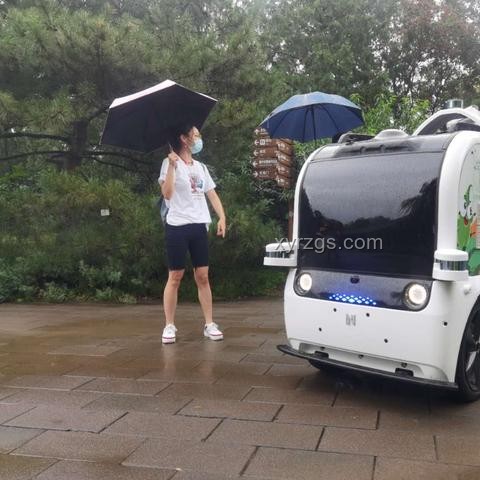 雨天臨時閉園公告影響對比分析：游客體驗與園區管理