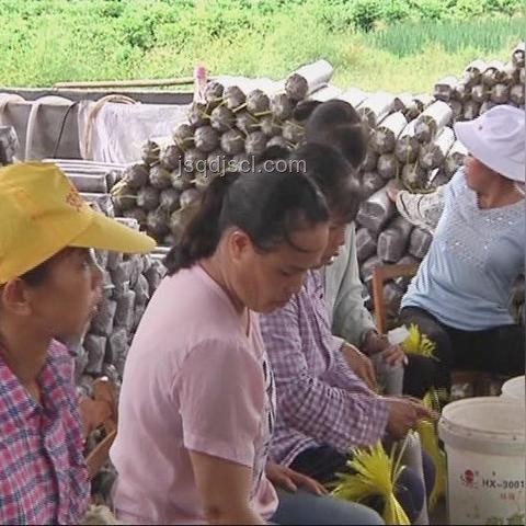 村支書為農產品代言：創新助農各顯神通