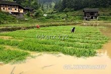 貴州榕江特大洪水親歷記：共渡難關(guān)，重建家園??