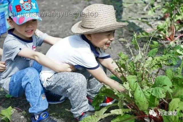 玩土教育新趨勢：讓孩子在自然中健康成長