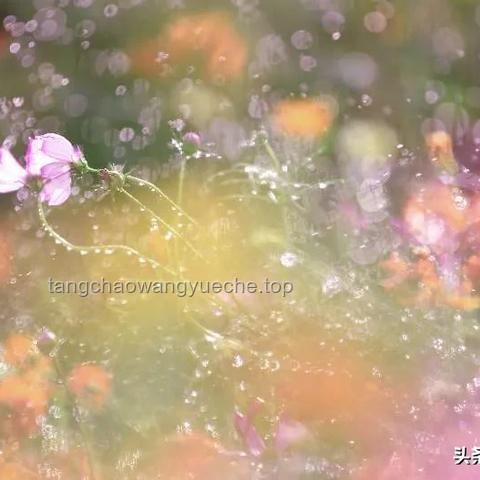 夜聽(tīng)幸福：如何感知并珍惜有人把你放在心上的時(shí)刻