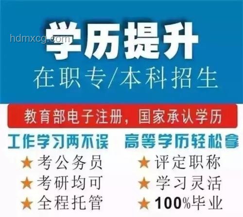 教育新航向：民辦本科VS大專，創新視角下的選擇攻略