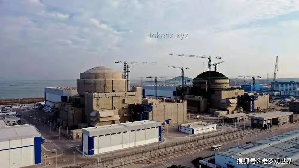 ??全球核電新紀(jì)元：獨立建造三代核電技術(shù)的國家探索??