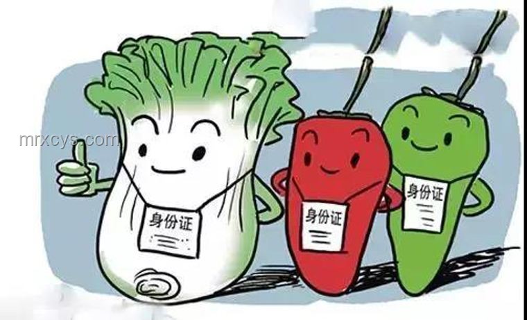 情緒性進食危機：女生分手后狂吃8斤食物險喪命背后的行業洞察