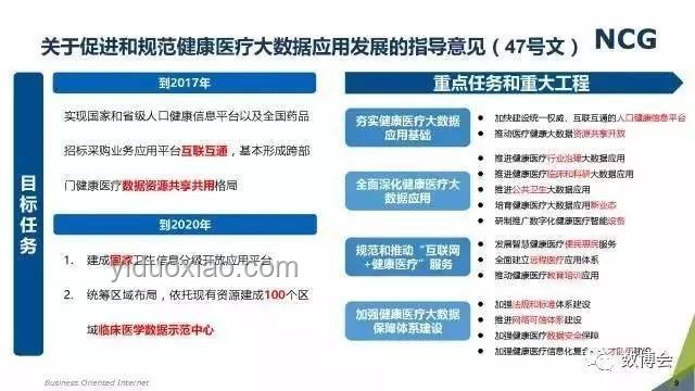 聊城老板寵物食品致富路：行業深度剖析與未來展望