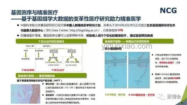 聊城老板寵物食品致富路：行業深度剖析與未來展望