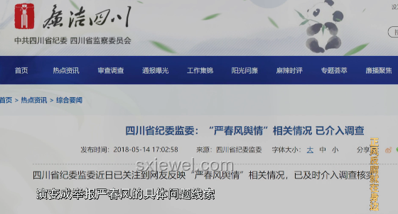 女子舉報前公婆資產近億涉貪腐：深度剖析與后續展望