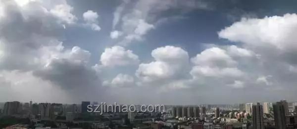 從風暴前夕到晴空萬里：襲擊前后的心路歷程