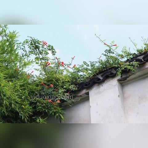 大眾對(duì)攀巖運(yùn)動(dòng)的誤解案例研究