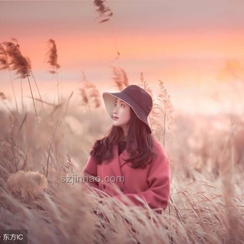 單依純版《思念是一種病》與原版的對比分析