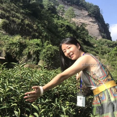 桃花映江山：茶藝對決的深度剖析