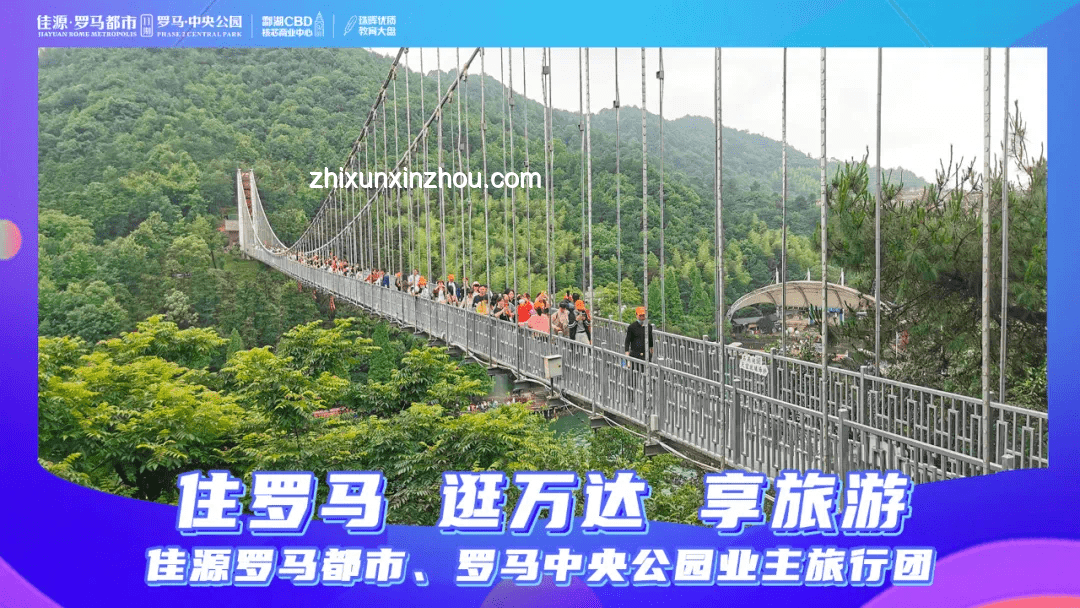 蔣一帆源夢歌友會活動分析